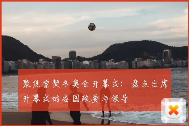 聚焦索契冬奥会开幕式：盘点出席开幕式的各国政要与领导