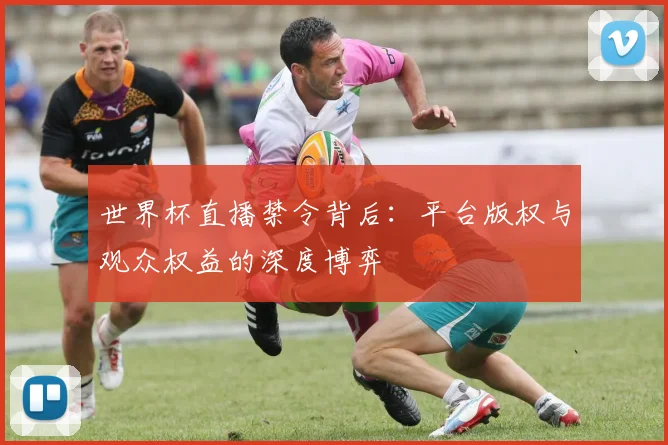 世界杯直播禁令背后：平台版权与观众权益的深度博弈