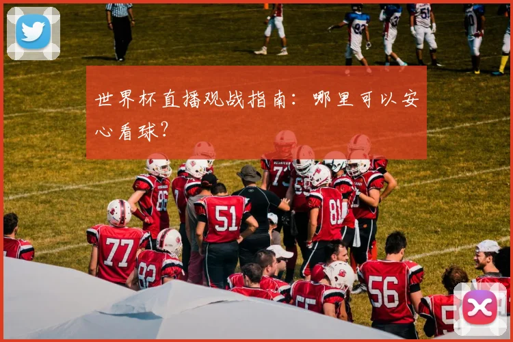 世界杯直播观战指南：哪里可以安心看球？