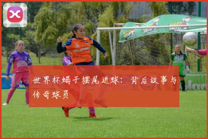 世界杯蝎子摆尾进球：背后故事与传奇球员