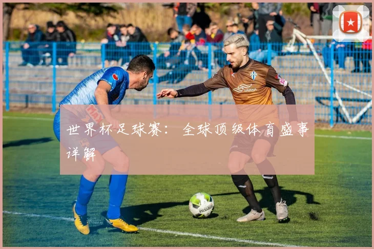 世界杯足球赛：全球顶级体育盛事详解