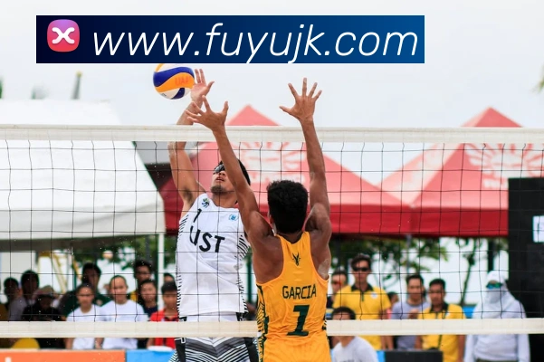 云开体育app官网入口app服务体系